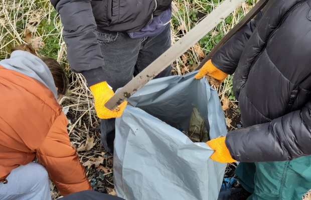 Forest Cleanup Day