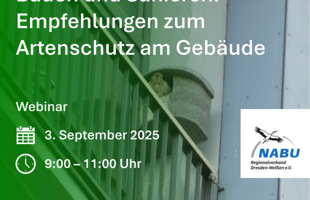 [online] Klimagerechtes Planen, Bauen und Sanieren: Empfehlungen zum Artenschutz am Gebäude