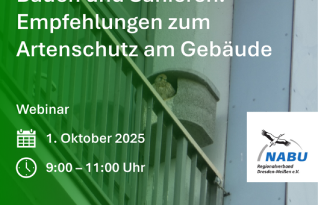 [online] Klimagerechtes Planen, Bauen und Sanieren: Empfehlungen zum Artenschutz am Gebäude