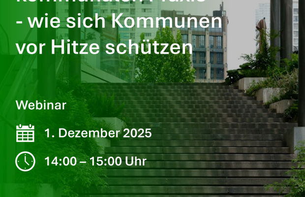 [online] Hitzeaktionspläne in der kommunalen Praxis - wie sich Kommunen vor Hitze schützen