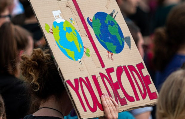 BNE in der Kinder- und Jugend(verbands)arbeit – Leben, was wir lehren