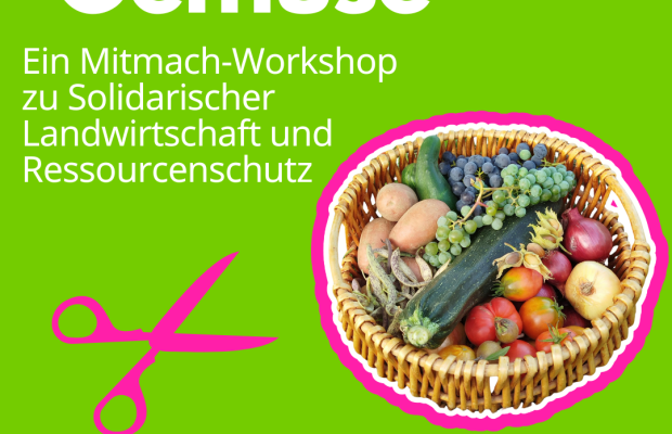 Mehr als Gemüse: ein Mitmach- Workshop zu solidarischer Landwirtschaft und Ressourcenschutz