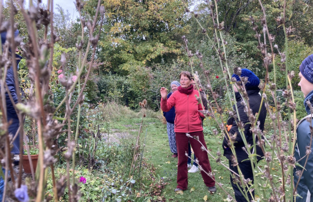 Naturnah Gärtnern – Gartenrundgang und Workshop vom Projekt VielFalterGarten